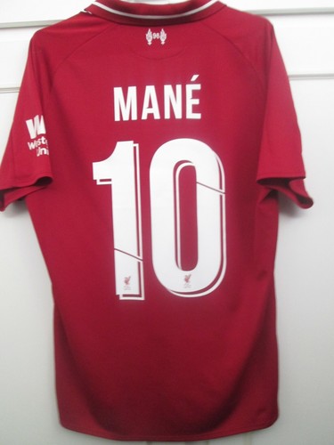 Liverpool 2018 2019 champions - liverpool, 2018-2019