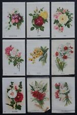 GARDEN FLOWERS of the WORLD