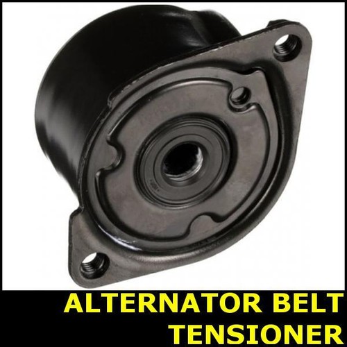 Ribbed belt tensioner - ribbed,