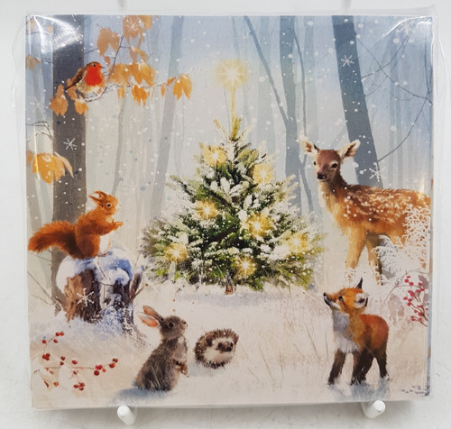 Rspca hhb charity christmas - hhb,