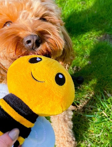 Bumble bee plush soft toy - bumble,