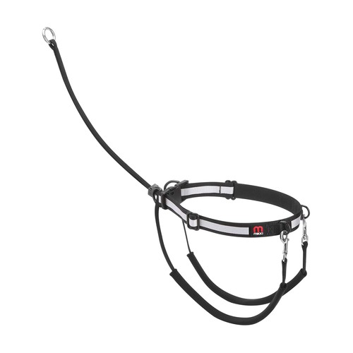 Mikki 6234304 dog - puppy, anti