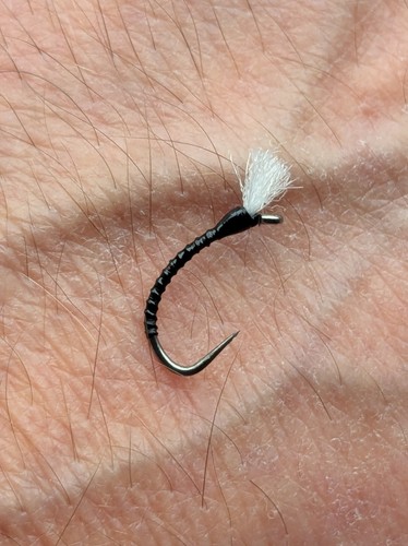 Black midge trout fishing - black,