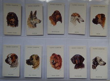 DOGS HEADS by PETER BIEGEL