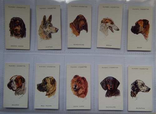 Dogs heads peter - by, biegel