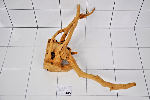 Premium aquarium natural wood - aquarium,