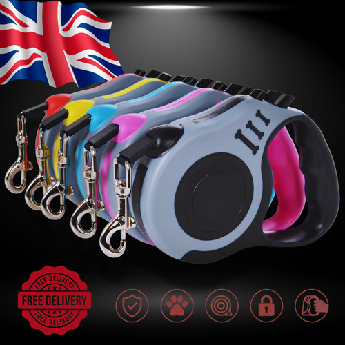 Retractable dog lead - dog,