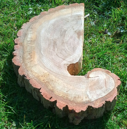 Chopping block cheese board - cheese,