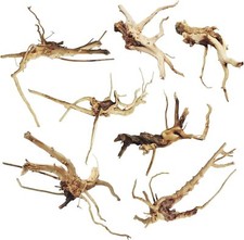 7 PCS Natural Aquarium