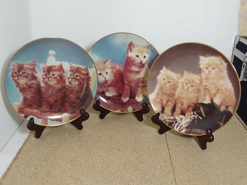 Decorative wall plates - wall,