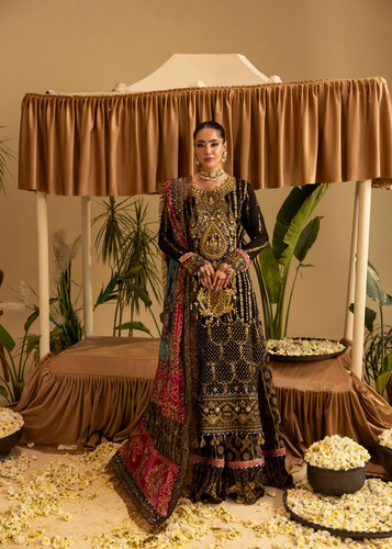 Wedding party wear pakistani - wear,