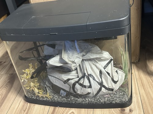 Fish tank aquarium - fish,