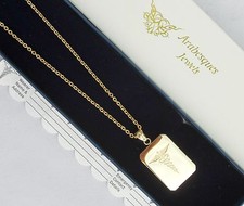 Stainless steel 9ct gold sos - gold,