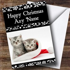 Beautiful Kittens In Hat