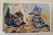Mabel Gear Cat Postcard