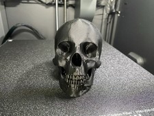 3D Printed Detailed Skull -