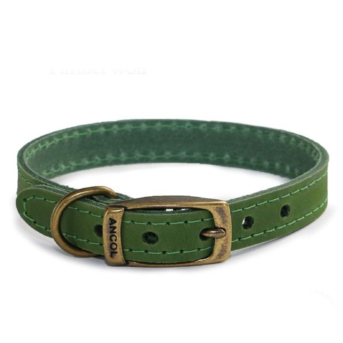 Ancol timberwolf green - timberwolf, leather
