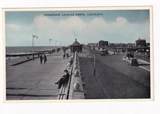 Printed Postcard Promenade