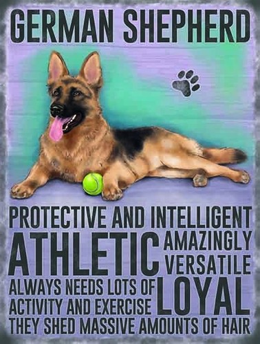 German shepherd large steel - large,