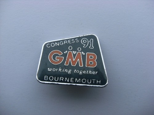 Trade union badge 1991 gmb - trade,