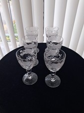 6 ROYAL BRIERLEY HONEYSUCKLE