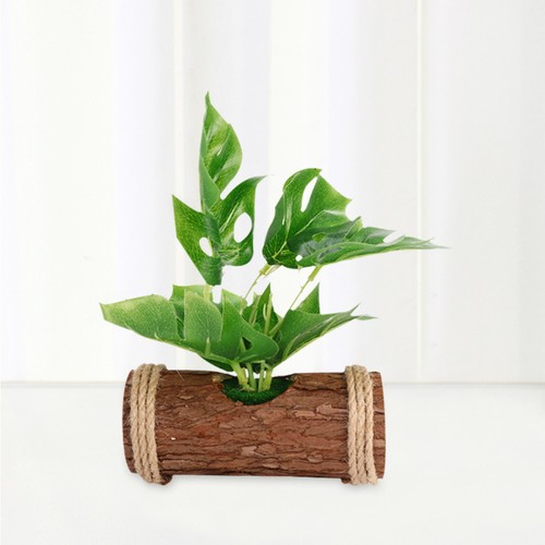 Bonsai artificial plastic home - artificial,