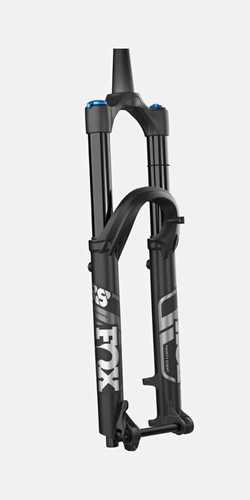 Fox performance - fox, 38