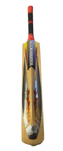 Kookaburra genises english - kookaburra,