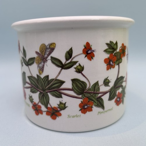 Vintage portmeirion botanic - vintage,