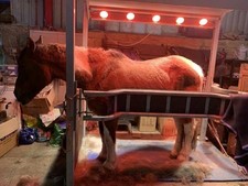 Monarch Stocks and Solarium 