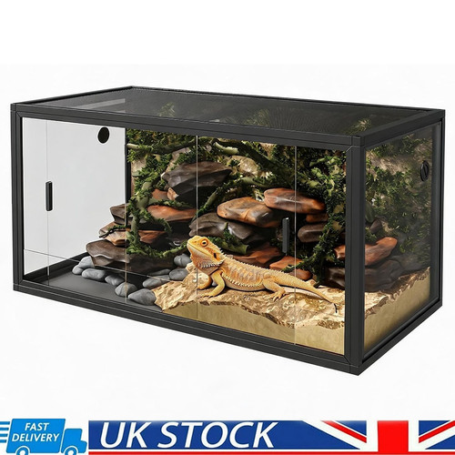 Gallon bearded dragon - 83,