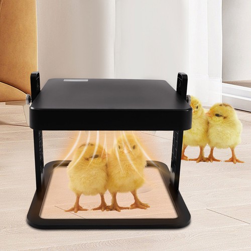 X10 chick brooder - chick, brooder/heat