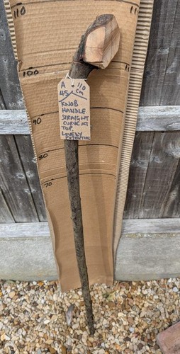 Blackthorn walking stick shank - blackthorn,