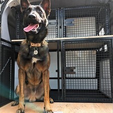 Heavy Duty Custom Made Dog Kennel Cages for Cars and Vans - Secure, Durable,