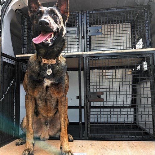 Heavy duty custom made dog - duty,