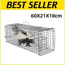 Large humane live animal - live,