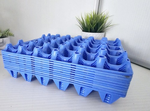 Plastic cell egg storage - 10,