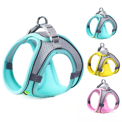 Reflective dog puppy pet - reflective,