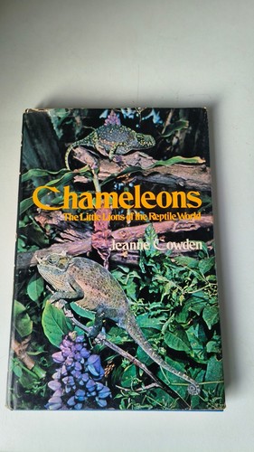 Chameleons the little lions - the,