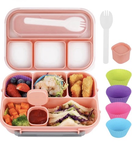 Bento lunch box - lunch, for
