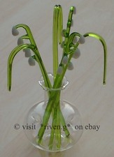 GORGEOUS LILY OF THE VALLEY