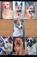 Lot. 11. 25 x Dog Postcards by