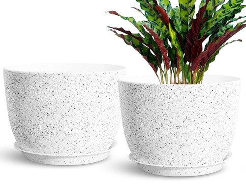 Large 12inch indoor - 12inch, planter
