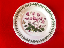 PORTMEIRION Botanic Garden -