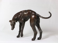  Greyhound Lurcher  Head Down