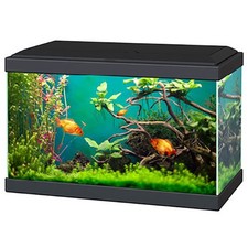 Ciano Aqua 20 Classic Aquarium White/Black with Filter Beginner Fish Tank