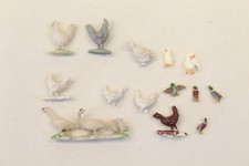 CHICKENS DUCKS GEESE ANIMALS
