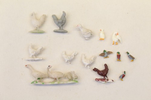 Chickens ducks geese animals - ducks,
