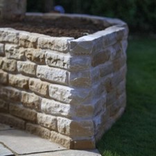 Raj Green & Fossil Mint