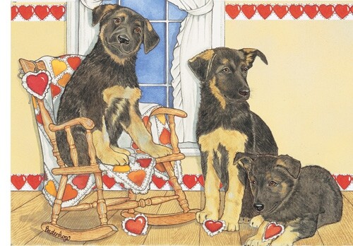 German shepherd pups - shepherd,